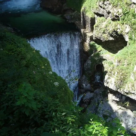 Amazing View