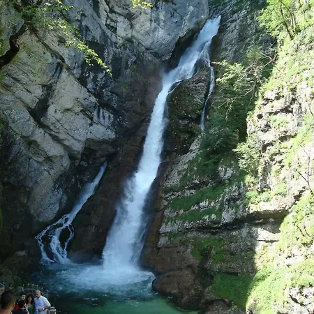 Amazing View Apartamento Bohinj