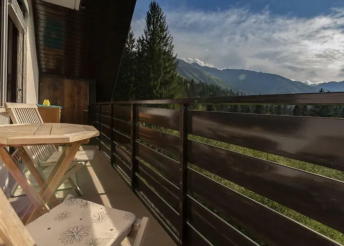 Amazing View 博希尼