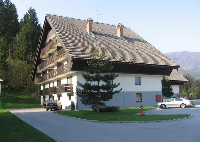 Amazing View 公寓 博希尼