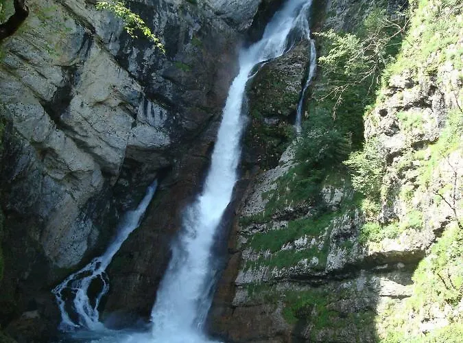 Amazing View 公寓 博希尼